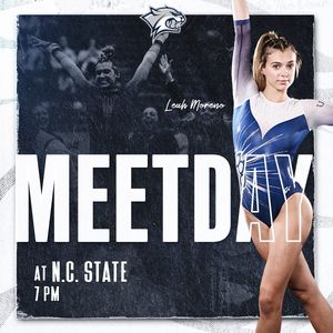 Image post by @unhgymnastics on Instagram