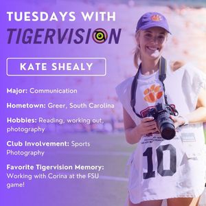 Image post by @cutigervision on Instagram