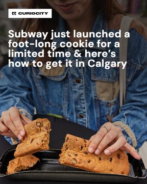 Image post by @curiocitycalgary on Instagram