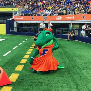 Image post by @albertathegator on Instagram