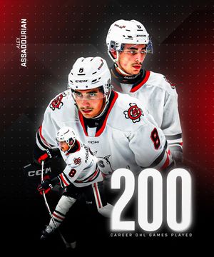 Image post by @ohlicedogs on Instagram