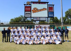 Image post by @biscuitbaseball on Instagram