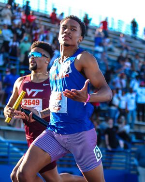 Image post by @gatorstf on Instagram