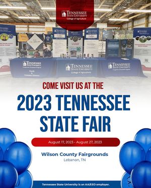 Image post by @tennstateu on Instagram