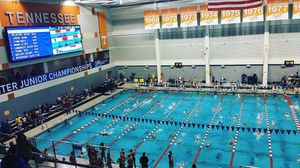 Image post by @wpiswimdive on Instagram