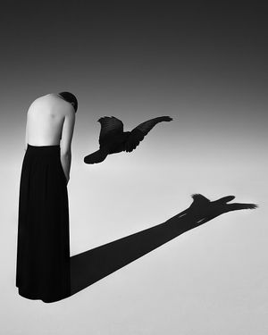 Image post by @fubiz on Instagram