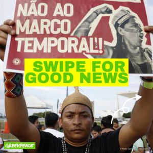 Image post by @greenpeace on Instagram