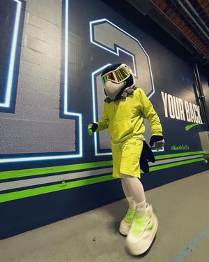Image post by @blitztheseahawk on Instagram