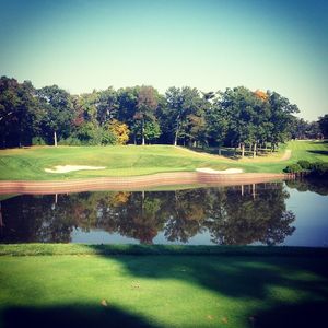 Image post by @lukedonald on Instagram