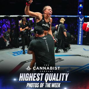 Image post by @pflmma on Instagram