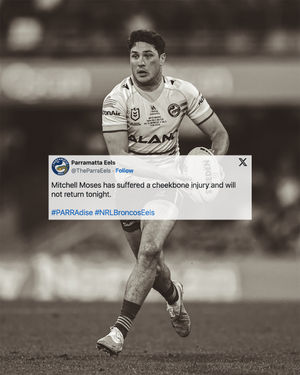 Image post by @theparraeels on Instagram
