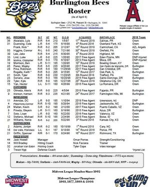 Image post by @burlington_bees on Instagram
