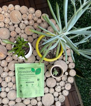 Image post by @plantpeople on Instagram