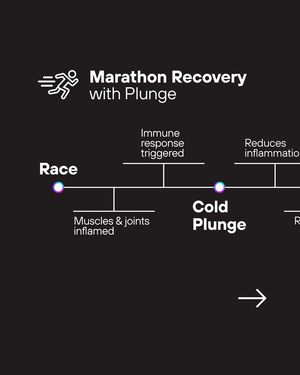 Image post by @plunge on Instagram