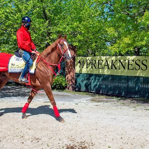 Image post by @thebloodhorse on Instagram