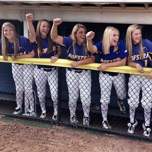 Image post by @hofstrasoftball on Instagram
