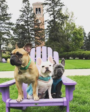 Image post by @northern_iowa on Instagram