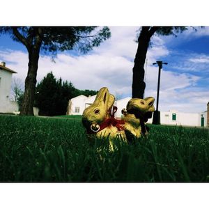 Image post by @francesco__laporta on Instagram