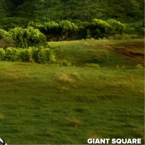 Image post by @sportsphotographermiami on Instagram