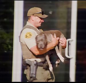 Image post by @scvsheriff on Instagram