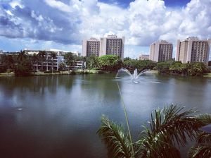 Image post by @canes_vb on Instagram