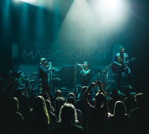 Image post by @magicgiant on Instagram