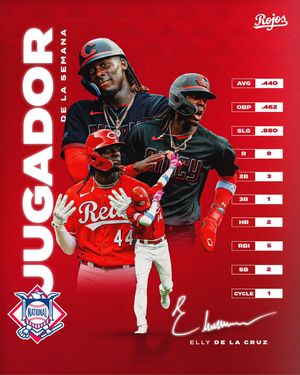 Image post by @rojos on Instagram