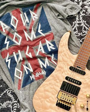 Image post by @defleppard on Instagram