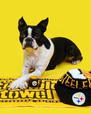 Image post by @steelers_nation_unite on Instagram