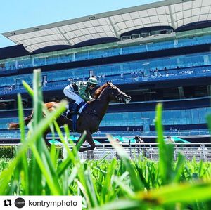 Image post by @australianturfclub on Instagram
