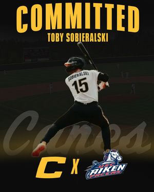 Image post by @thecanesbb on Instagram