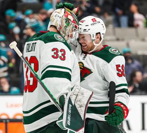 Image post by @minnesotawild on Instagram