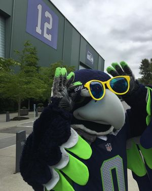 Image post by @blitztheseahawk on Instagram