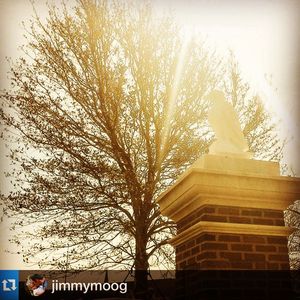 Image post by @auburntigers on Instagram