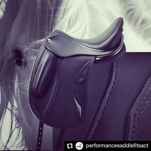 Image post by @performancesaddlefitssthsydney on Instagram