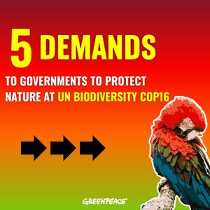 Image post by @greenpeace on Instagram
