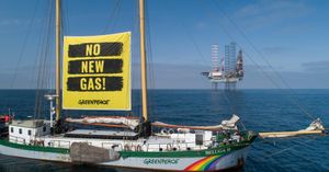 Image post by @greenpeace on Instagram