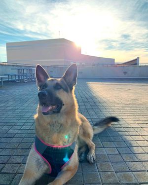Image post by @ucsdadmissions on Instagram