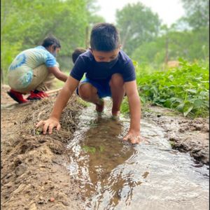 Image post by @kidsgardening on Instagram