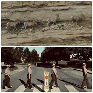 Image post by @nationalparkservice on Instagram