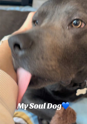 Video post by @hayleylewis_sports on TikTok