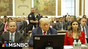 Video post by @msnbc on YouTube