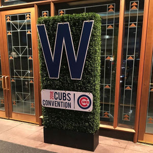 Image post by @chicagocubsnation on Instagram