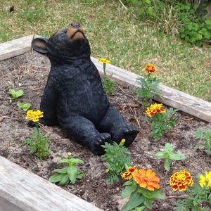 Image post by @kidsgardening on Instagram