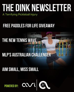 Image post by @thedinkpickleball on Instagram