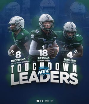 Image post by @mercyhurstfb on Instagram