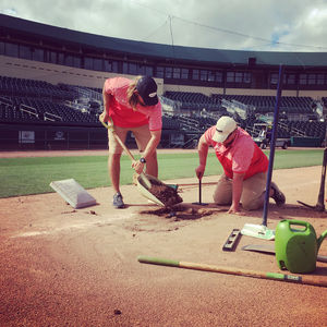 Image post by @gohammerheads on Instagram