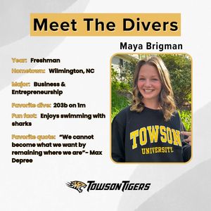 Image post by @towson_diving on Instagram