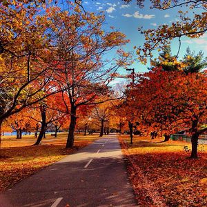 Image post by @bostonu on Instagram