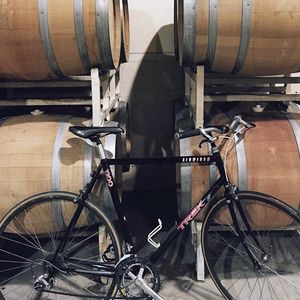 Image post by @tourismabbotsford on Instagram